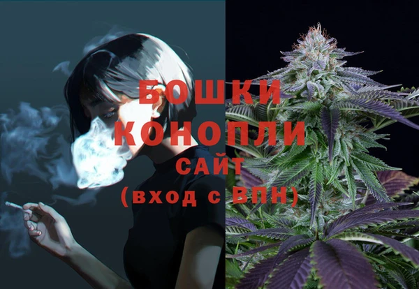 шишки Богданович