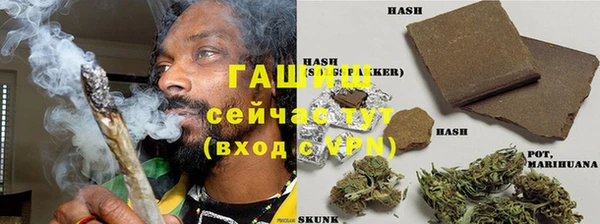 спиды Богородицк